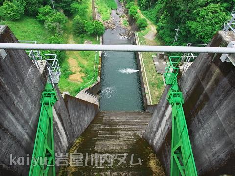 iwayagawauchidam06.jpg