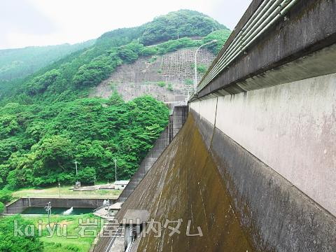 iwayagawauchidam14.jpg
