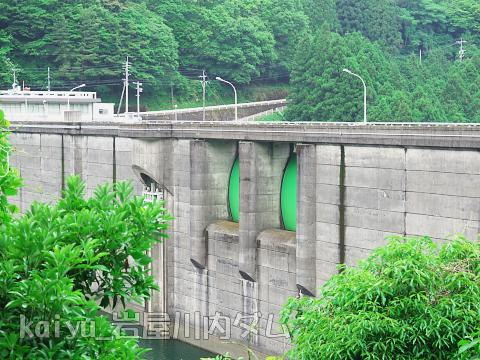 iwayagawauchidam20.jpg