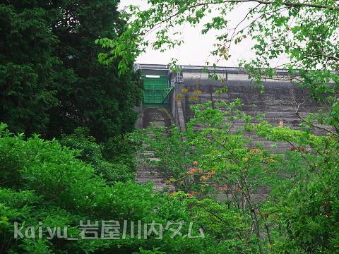 iwayagawauchidam25.jpg