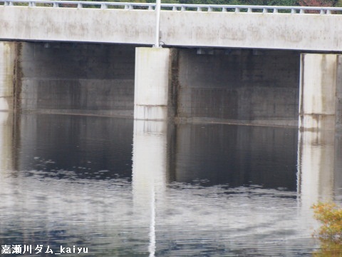 kasegawadam04.jpg