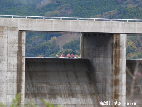 kasegawadam05.jpg