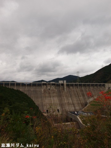 kasegawadam11.jpg